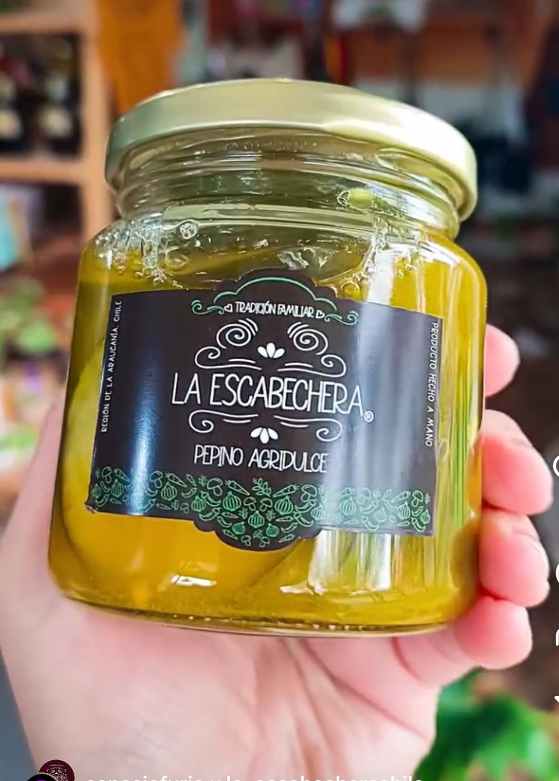 PEPINO AGRIDULCE